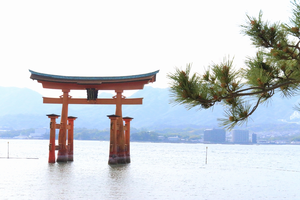 宮島 1歳児と宮島観光～宮島の風景、厳島神社、食べ歩き | ときめきの真ん中